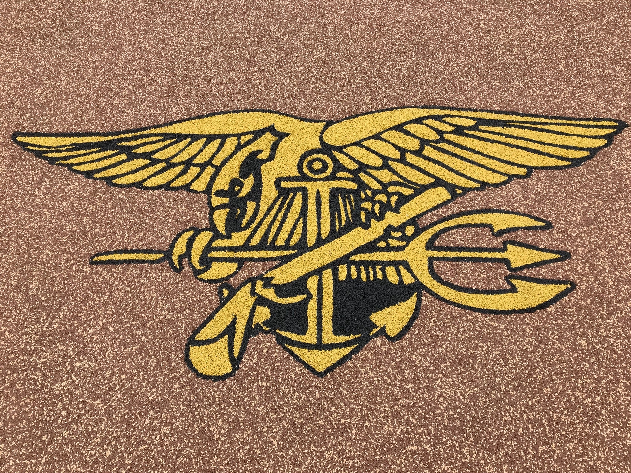 Aquatic Center after rubber surfacing installation - Navy SEALs emblem with wings and anchor on a textured brown background