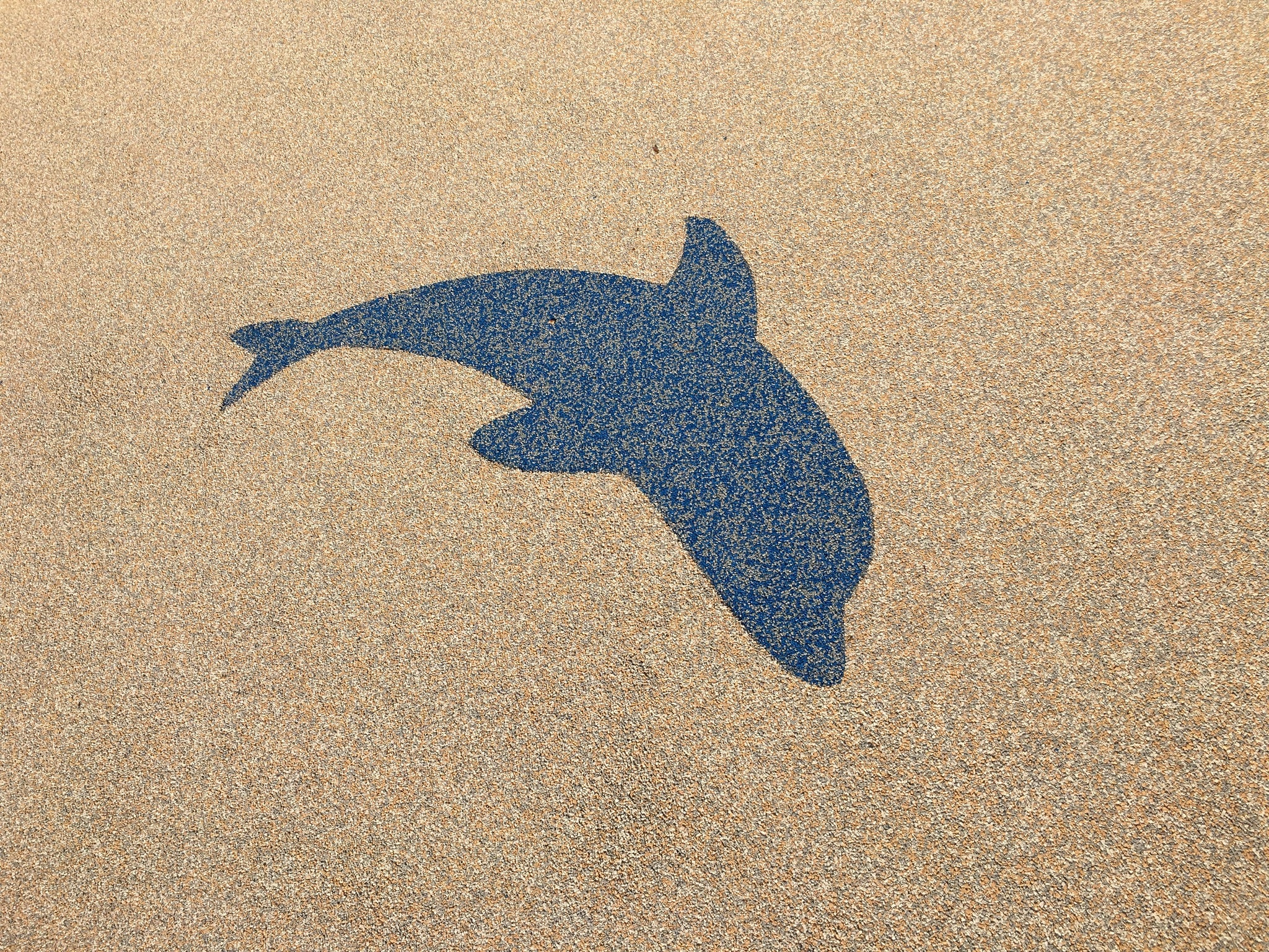 Aquatic Center after rubber surfacing installation - Blue dolphin silhouette on beige rubber